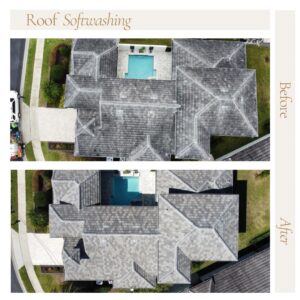 Roof Cleaning Near Me