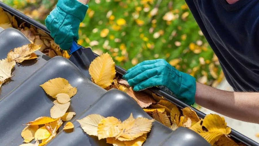 gutter cleaning services