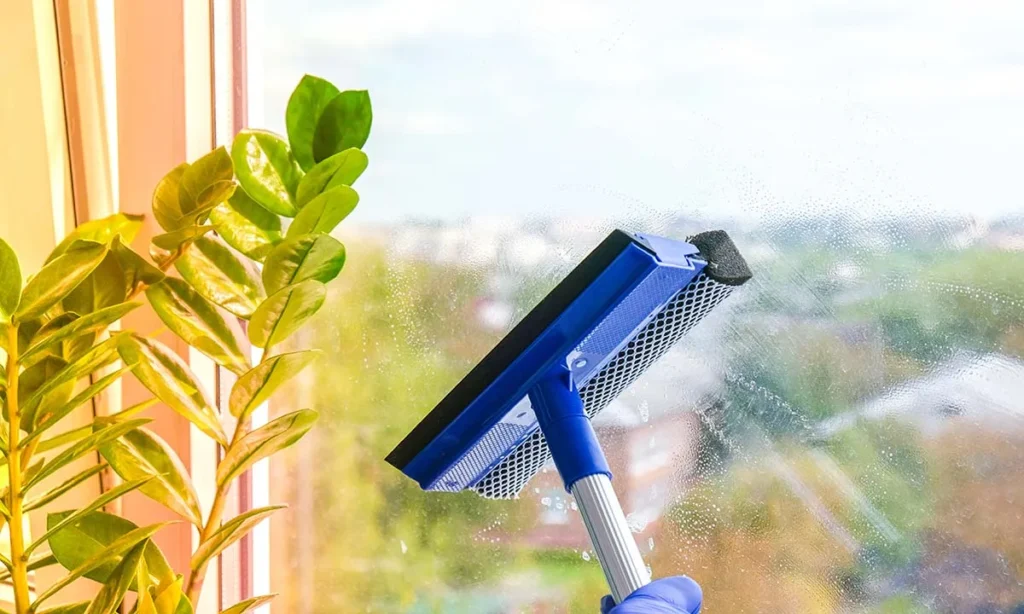 Window Cleaning Servies