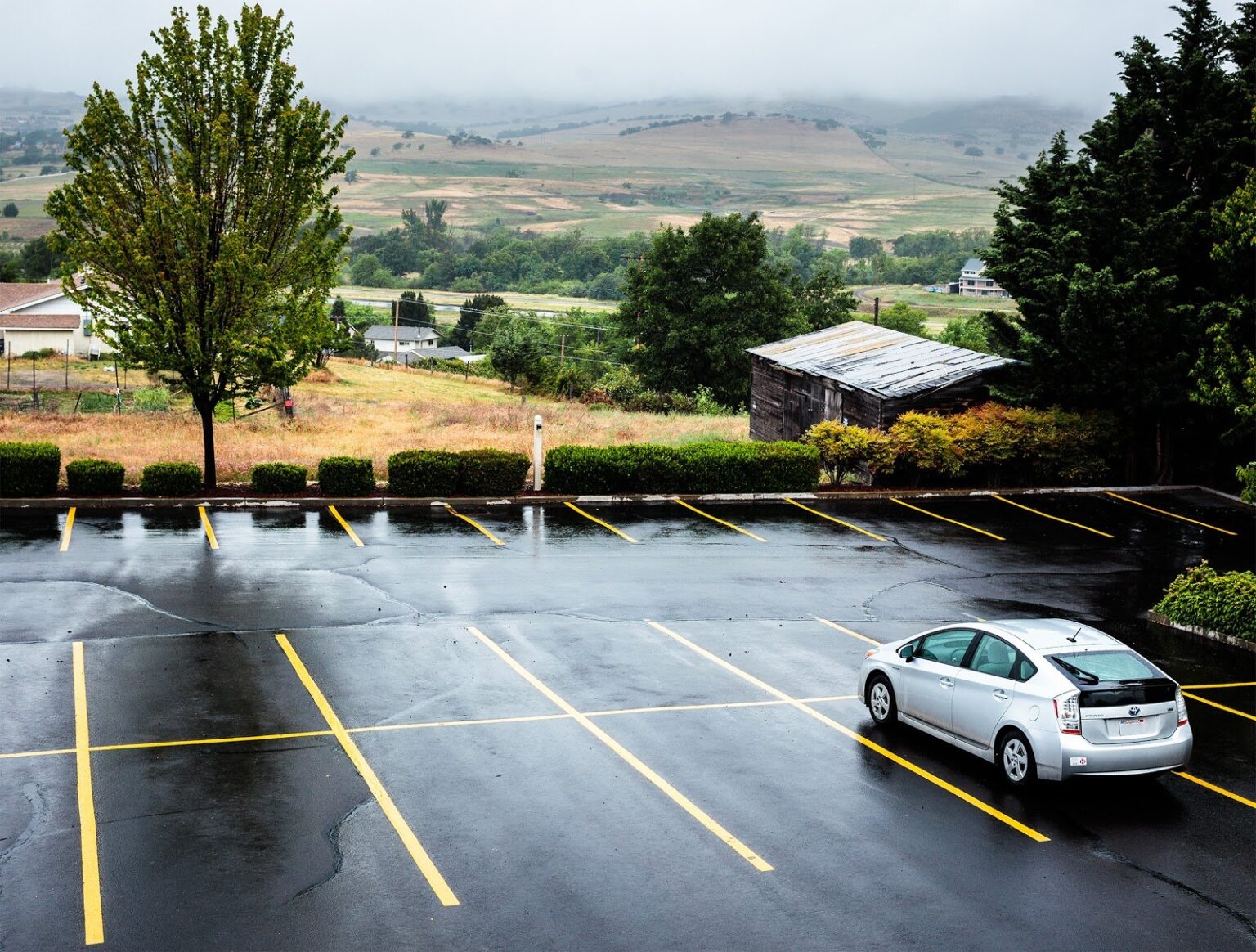 Parking Cleaning