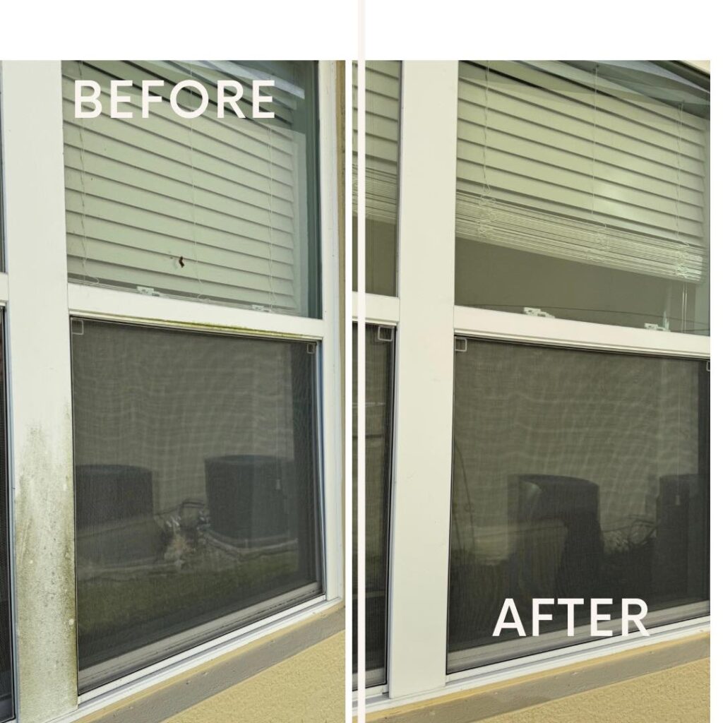 window cleaning services