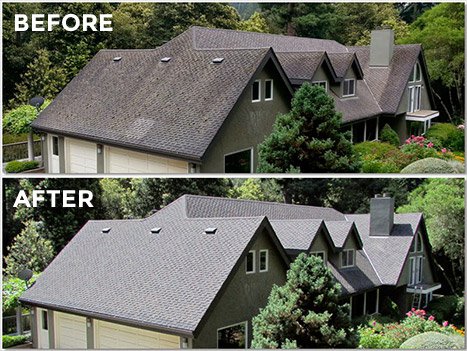 expert roof pressure washing davenport