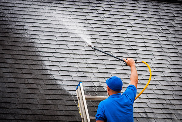 Roof Cleaning Lakeland, FL