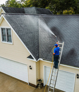 Pressure Washing Tampa