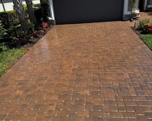 WhatsApp Image 2025-05-20 at 5.31.49 PM paver sealing & cleaning