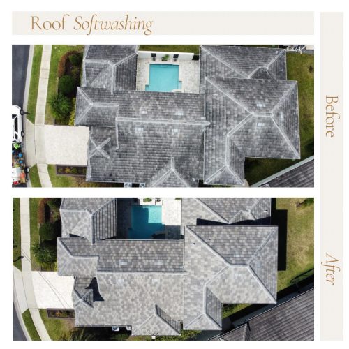 WhatsApp Image 2025-05-21 at 1.00.43 AM roof cleaning