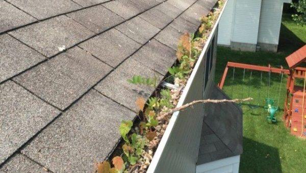 bloomfield-gutter-cleaning-before-e1456332196922 gutter cleaning services